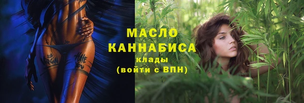 индика Волоколамск