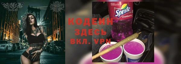 индика Волоколамск