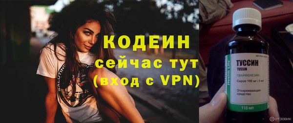 индика Волоколамск