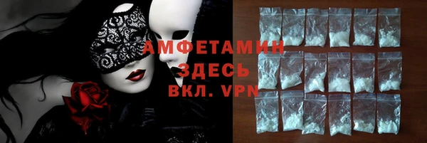 индика Волоколамск
