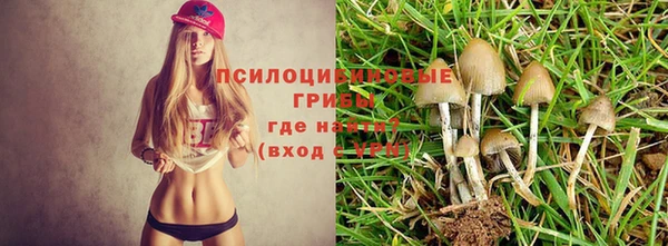 стафф Волосово