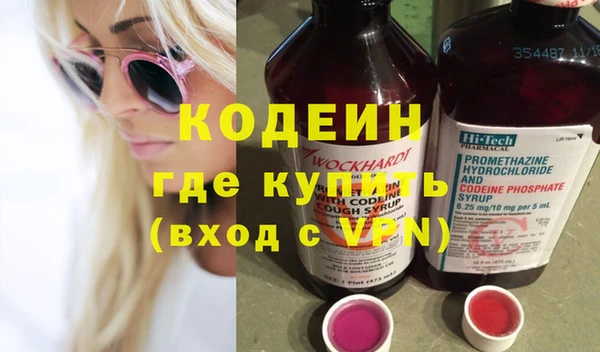 индика Волоколамск