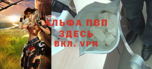 индика Волоколамск