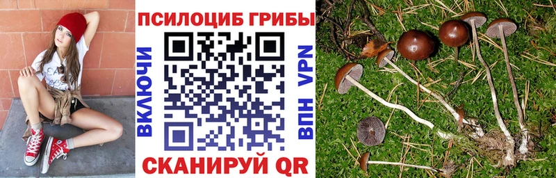купить закладку  omg как зайти  Псилоцибиновые грибы Magic Shrooms  Назарово 